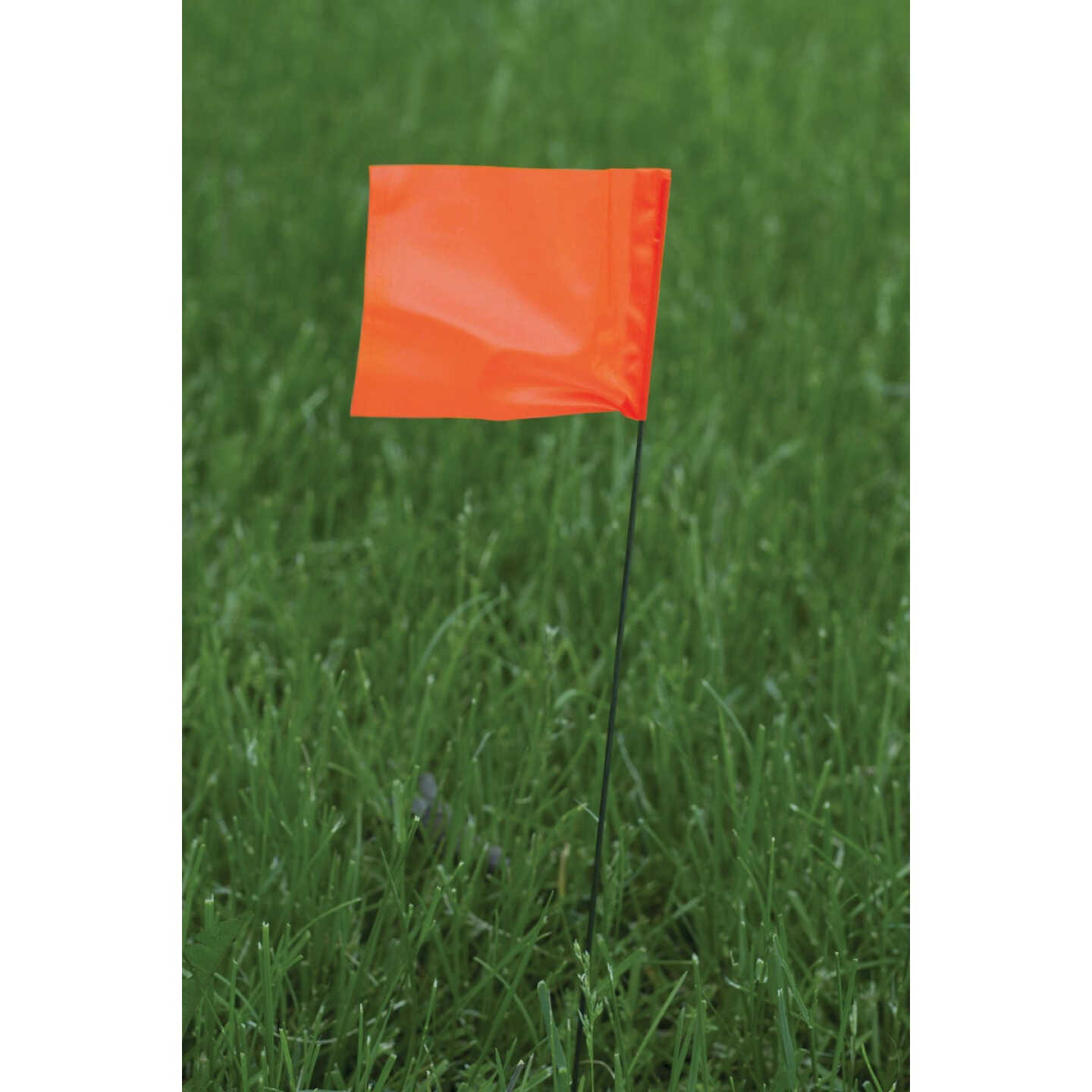 C.H. Hanson 21 In. Orange Marking Flag (100-Pack) Image 2