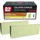 Grip-Rite 7/16 In. x 1-1/2 In. 16 ga Electrogalvanized N-Style Collated Medium Crown Staple (10,000-Count) Image 1