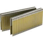 Senco 16-Gauge Galvanized Heavy Wire Decking Staples, 7/16 In. x 1-1/2 In. (10,000 Ct.) Image 1