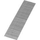Bostitch 1-3/16 In. 18 ga Collated Brad Nails (1000-Count) Image 3