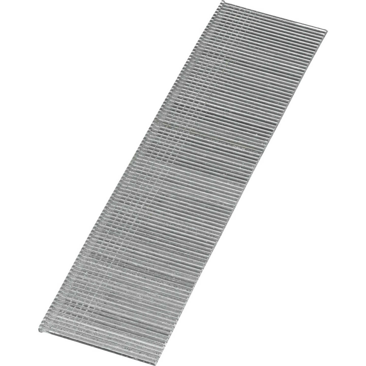 Bostitch 1-3/16 In. 18 ga Collated Brad Nails (1000-Count) Image 3