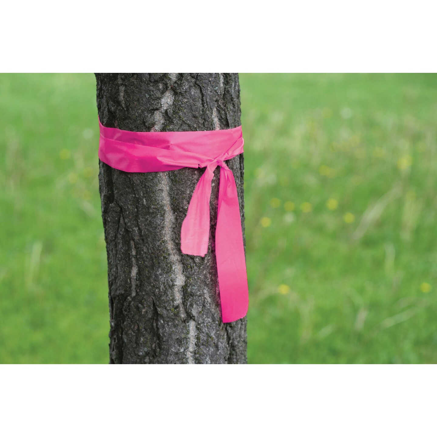 C.H. Hanson 1-3/16 In. x 150 Ft. Flourescent Pink Flag Tape Image 2