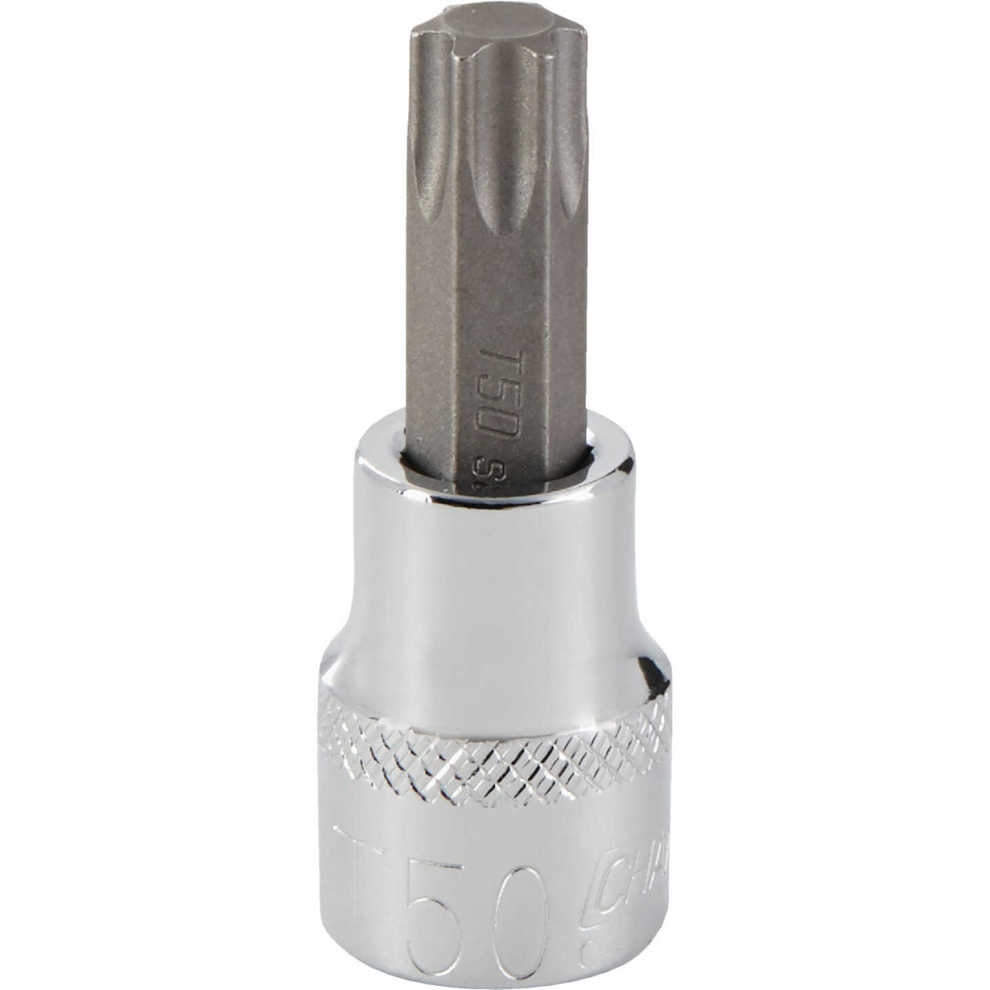 Channellock 3/8 In. Drive T50 6-Point Torx Bit Socket Image 1