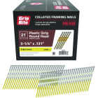 Grip-Rite 3-1/4 In. x 0.131 In. 21 Deg. Bright Coated Round Head Smooth Shank Plastic Strip Collated Framing Nail (4000-Count) Image 1