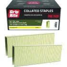 Grip-Rite 1/2 In. x 1-1/2 In. 16 ga Electrogalvanized GS-Style Collated Medium Crown Staple (10,000-Count) Image 1
