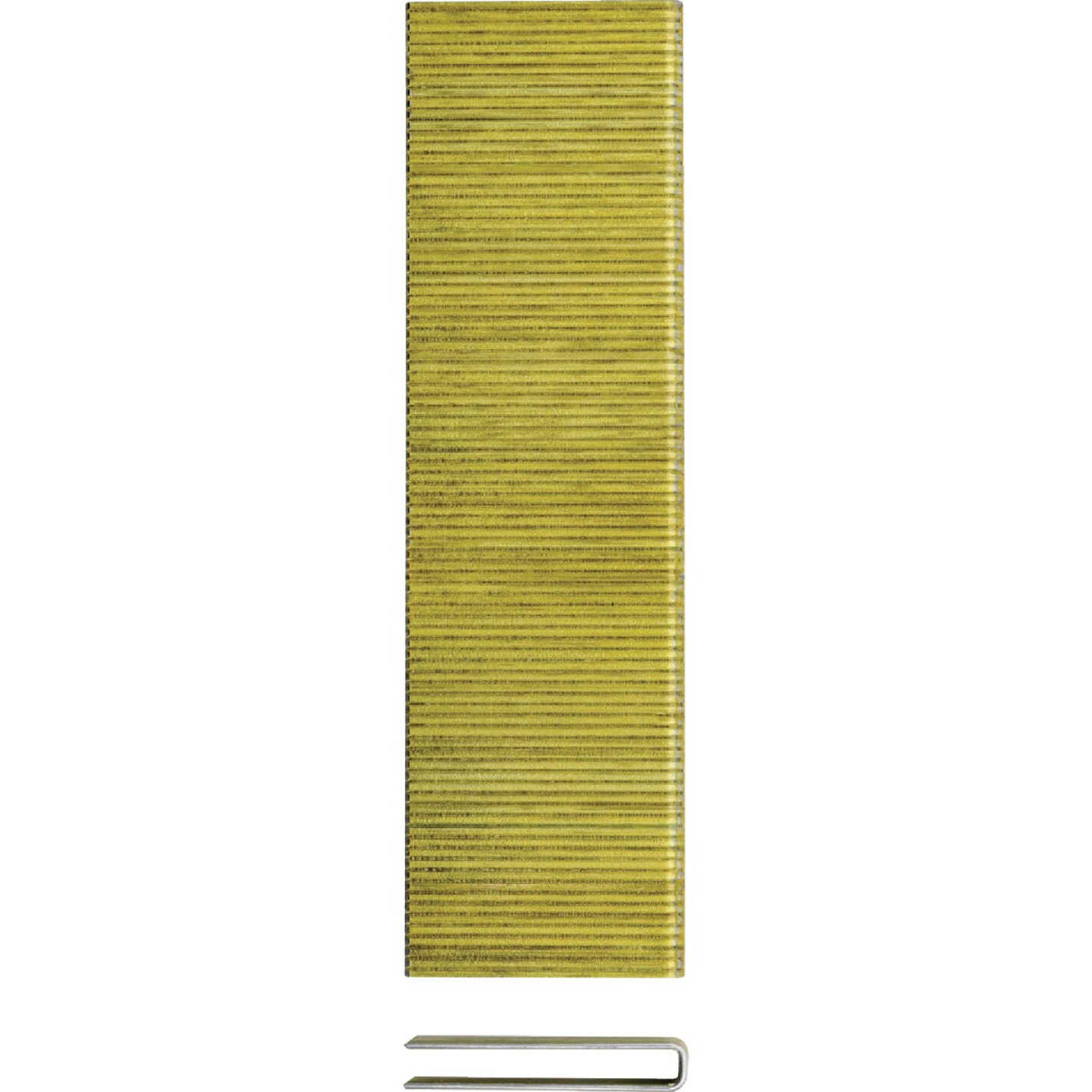 DEWALT 1/4 In. x 1-1/4 In. 18-Gauge Collated Crown Staples (2500 Ct.) Image 2