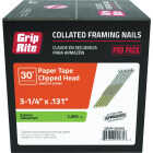 Grip-Rite 3-1/4 In. x 0.131 In. 30 Deg. Hot Galvanized Clipped Head Smooth Shank Paper Tape Collated Framing Nail (2000-Count) Image 1