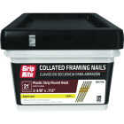 Grip-Rite 2-3/8 In. x 0.113 In. 21 Deg. Bright Coated Round Head Smooth Shank Plastic Strip Collated Framing Nail (1000-Count) Image 2