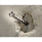 Bosch Bulldog Xtreme 1/4 In. x 4 In. x 6 In. SDS Plus Rotary Hammer Drill Bit Image 4