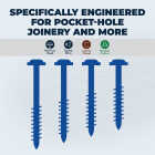 Kreg Blue-Kote #8 x 2-1/2 In. Square Coarse Thread Maxi-Loc Head Pocket-Hole Screw (125 Ct.) Image 2