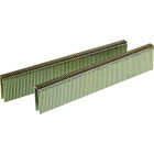 Senco AccuSet 1/4 In. x 5/8 In. 18-Gauge Galvanized Medium Wire Finish Staple (1000 Ct.) Image 1