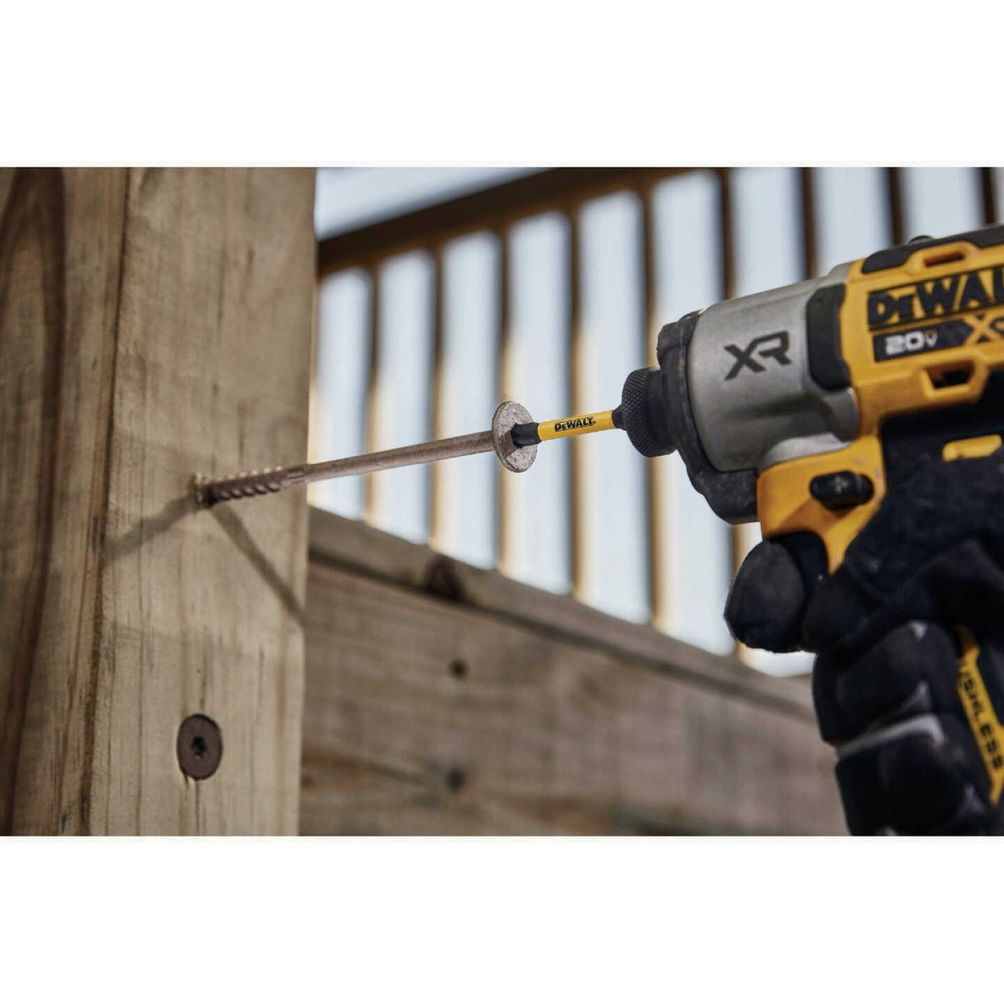 DEWALT Elite Series FlexTorq 2.25 In. T27 Torx Impact Screwdriver Bit (3-Pack) Image 4
