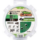 Gator Reptilian 5 In. 8-Hole 80-Grit Sanding Disc (30-Pack) Image 1