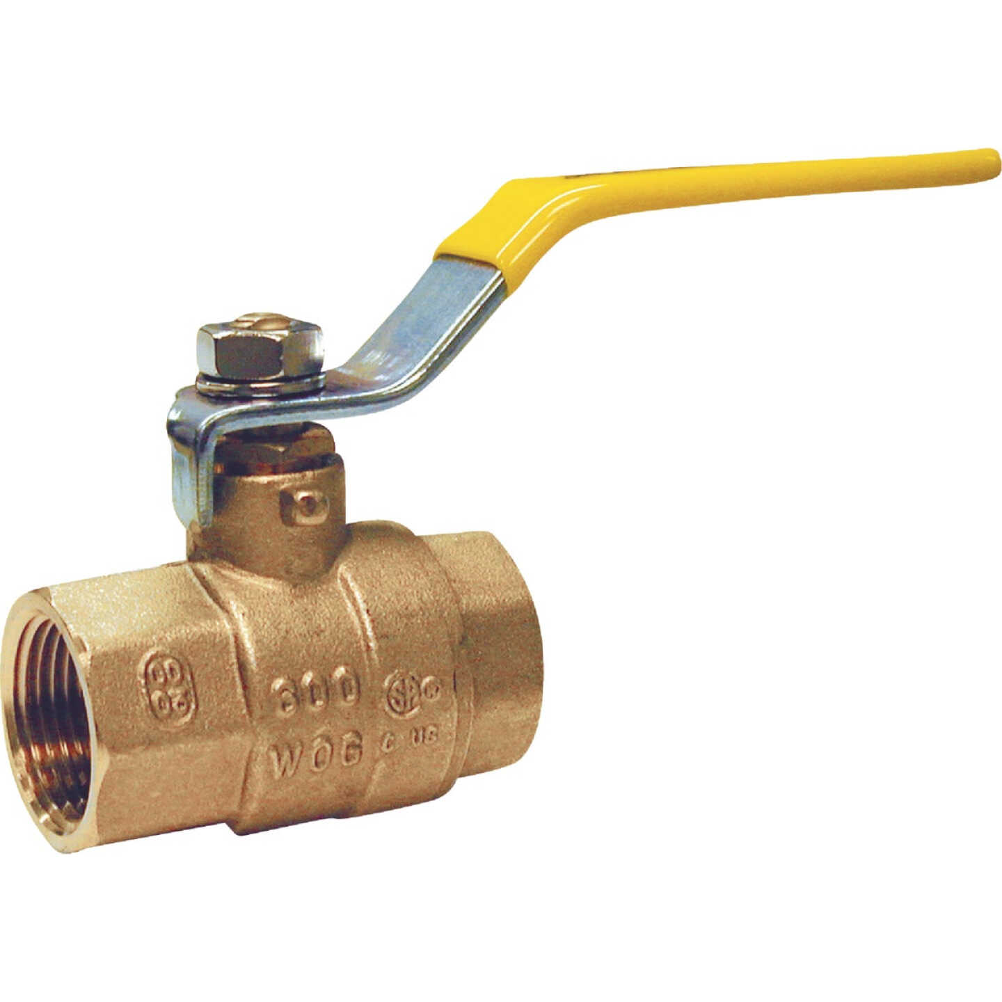 ProLine 2 In. FIP x 2 In. FIP Brass Ball Valve Image 1