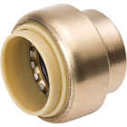 ProLine 1 In. PF Brass Push Fit Cap Image 1