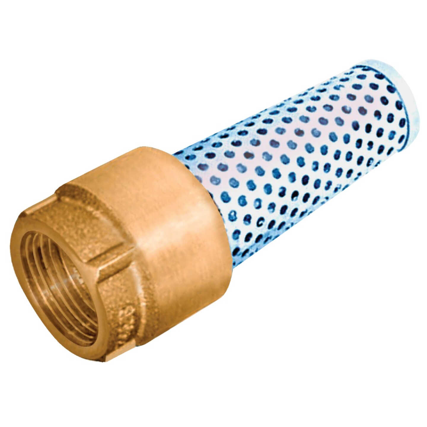 Simmons 1-1/4 In. 200 psi Bronze Foot Valve, Lead Free Image 1