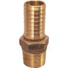 Merrill 1 In. MIP x 1 In. Insert Brass Hose Barb Image 1