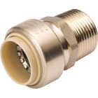 ProLine 3/4 In. PF x 3/4 In. MIP Brass Push Fit Male Adapter Image 1