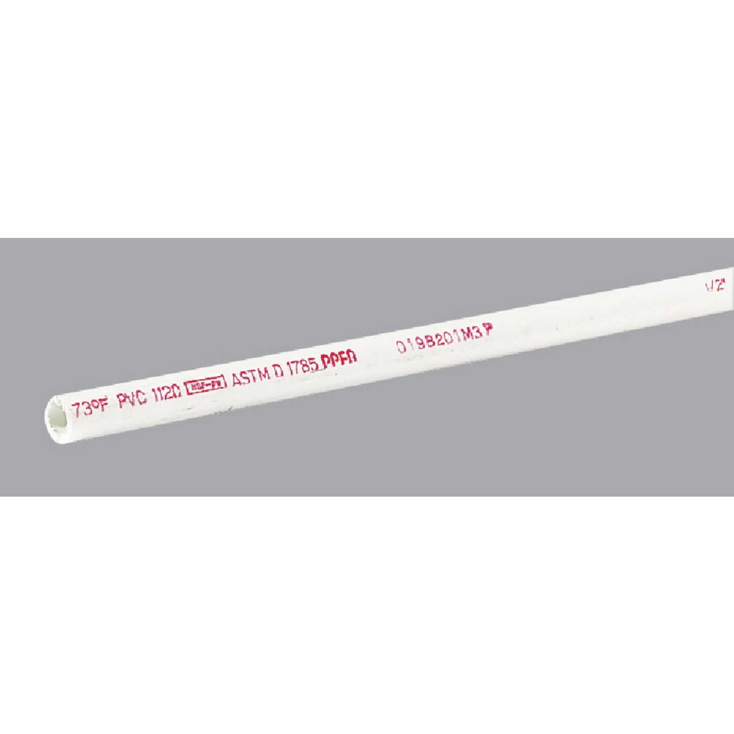 Charlotte Pipe 1/2 In. x 20 Ft. Cold Water Schedule 40 PVC Pressure Pipe, Belled End Image 1