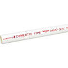 Charlotte Pipe 3/4 In. x 20 Ft. Cold Water Schedule 40 PVC Pressure 40 Pipe, Belled End Image 1