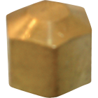 Lasco 1/4 In. Brass Compression Cap Image 1