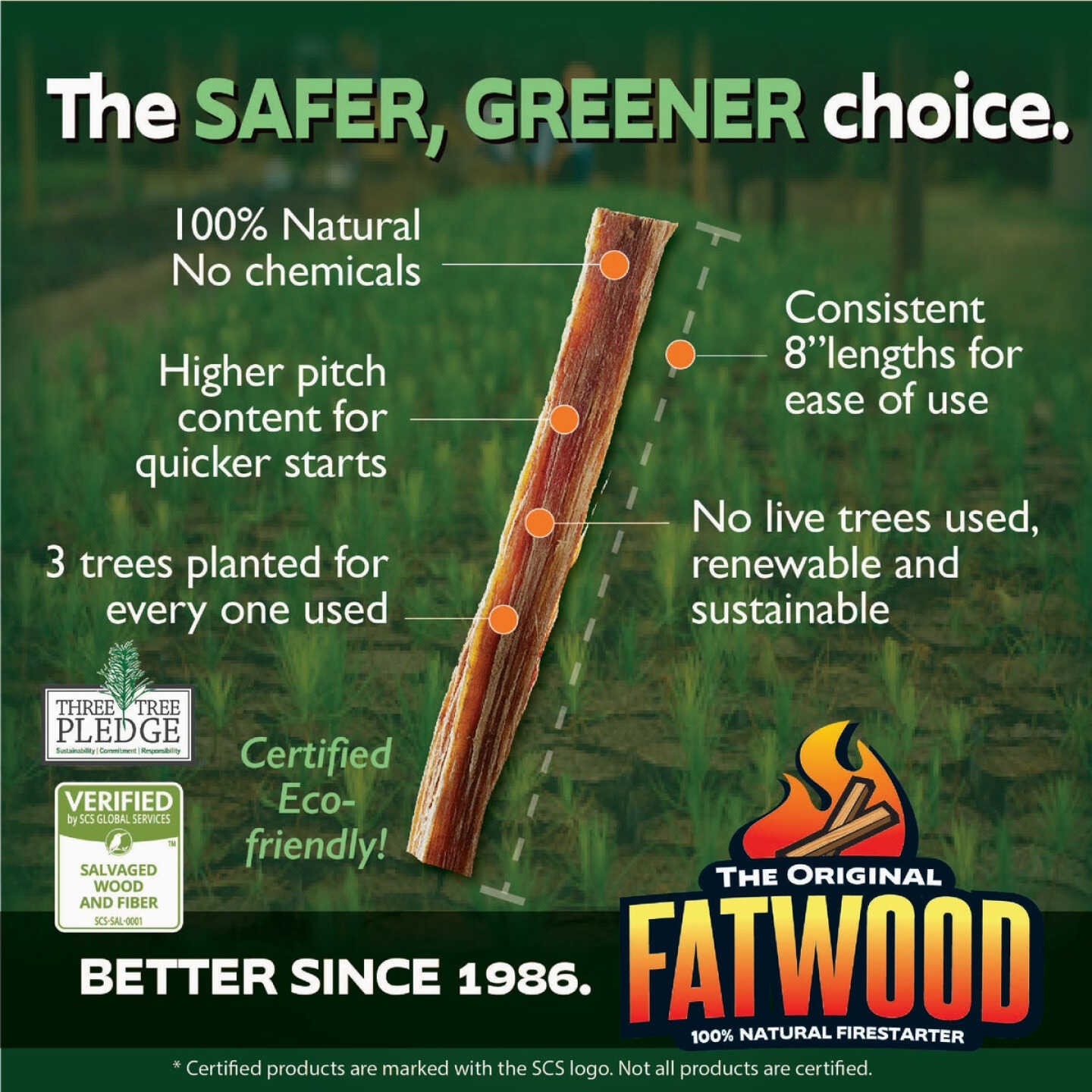 Fatwood 1-1/2 Lb. Fire Starter Image 4