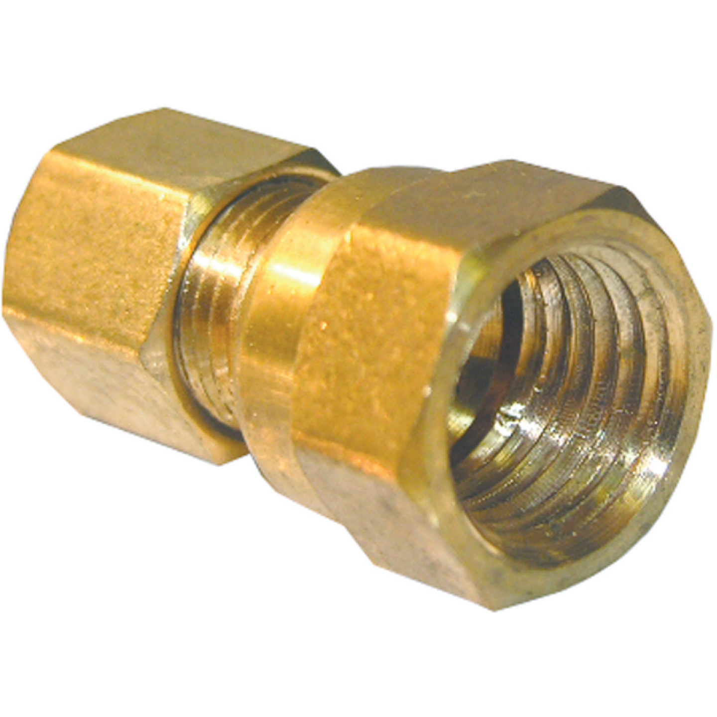 Lasco 1/4 In. C x 1/4 In. FPT Brass Compression Adapter Image 1