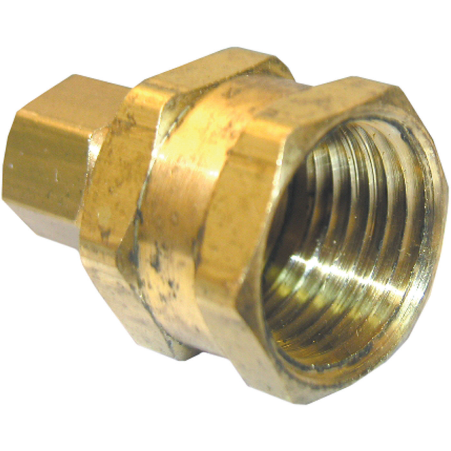 Lasco 5/16 In. C x 3/8 In. FPT Brass Compression Adapter Image 1