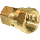Lasco 3/8 In. C x 3/8 In. FPT Brass Compression Adapter Image 1