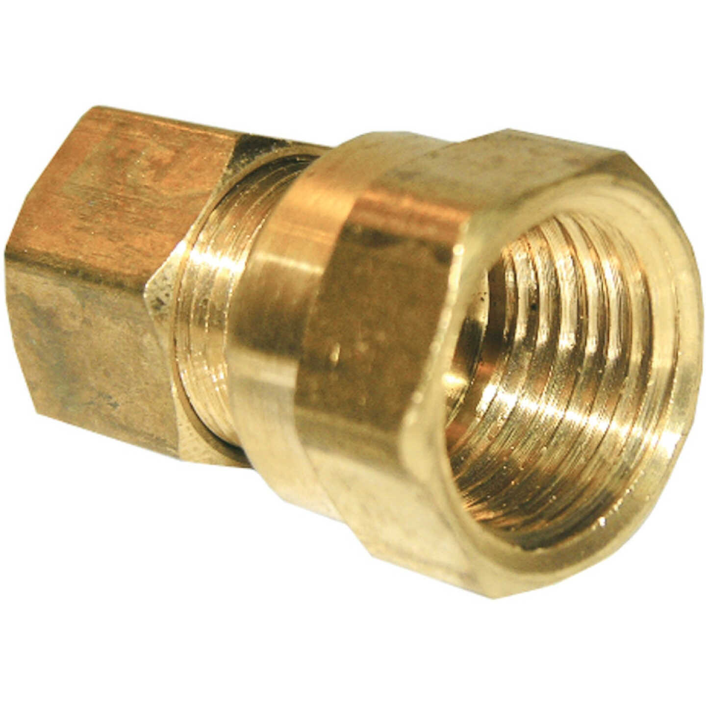 Lasco 3/8 In. C x 3/8 In. FPT Brass Compression Adapter Image 1