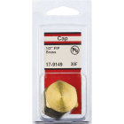 Lasco 1/2 In. Red Brass Threaded Pipe Cap Image 2