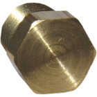 Lasco 1/8 In. MPT Brass Hex Head Plug Image 1