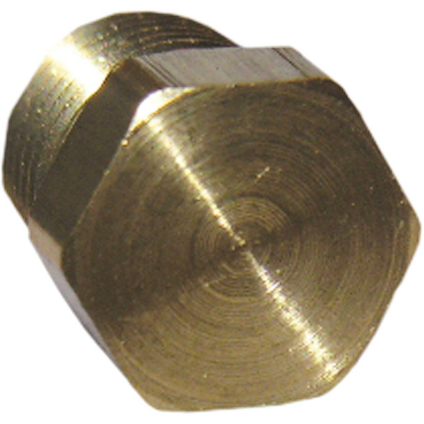 Lasco 1/8 In. MPT Brass Hex Head Plug Image 1