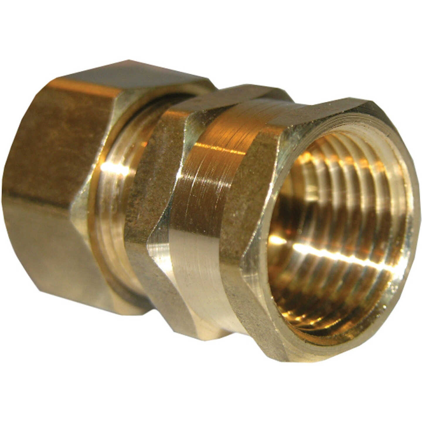 Lasco 5/8 In. C x 1/2 In. FPT Brass Compression Adapter Image 1