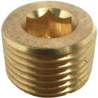 Lasco 1/2 In. MPT Brass Countersunk Plug Image 1