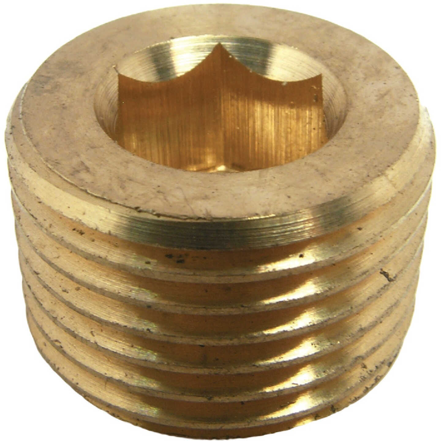 Lasco 1/2 In. MPT Brass Countersunk Plug Image 1
