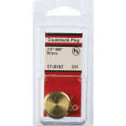 Lasco 1/2 In. MPT Brass Countersunk Plug Image 2