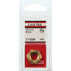 Lasco 1/8 In. FPT Brass Lock Nut Image 2