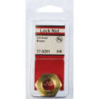 Lasco 1/4 In. FPT Brass Lock Nut Image 2
