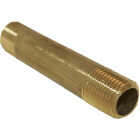 Lasco 1/8 In. x 2 In. Brass Nipple Image 1