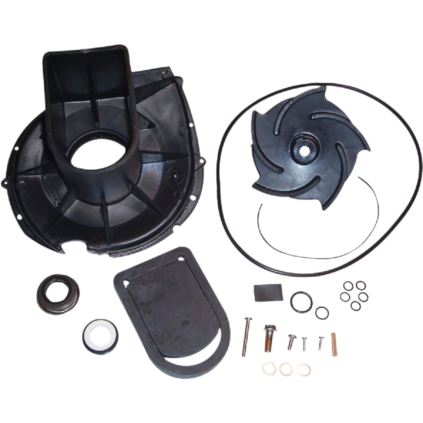 Pacer Pumps S Series Gas Engine Pump Kit, 5 Vanes Image 1