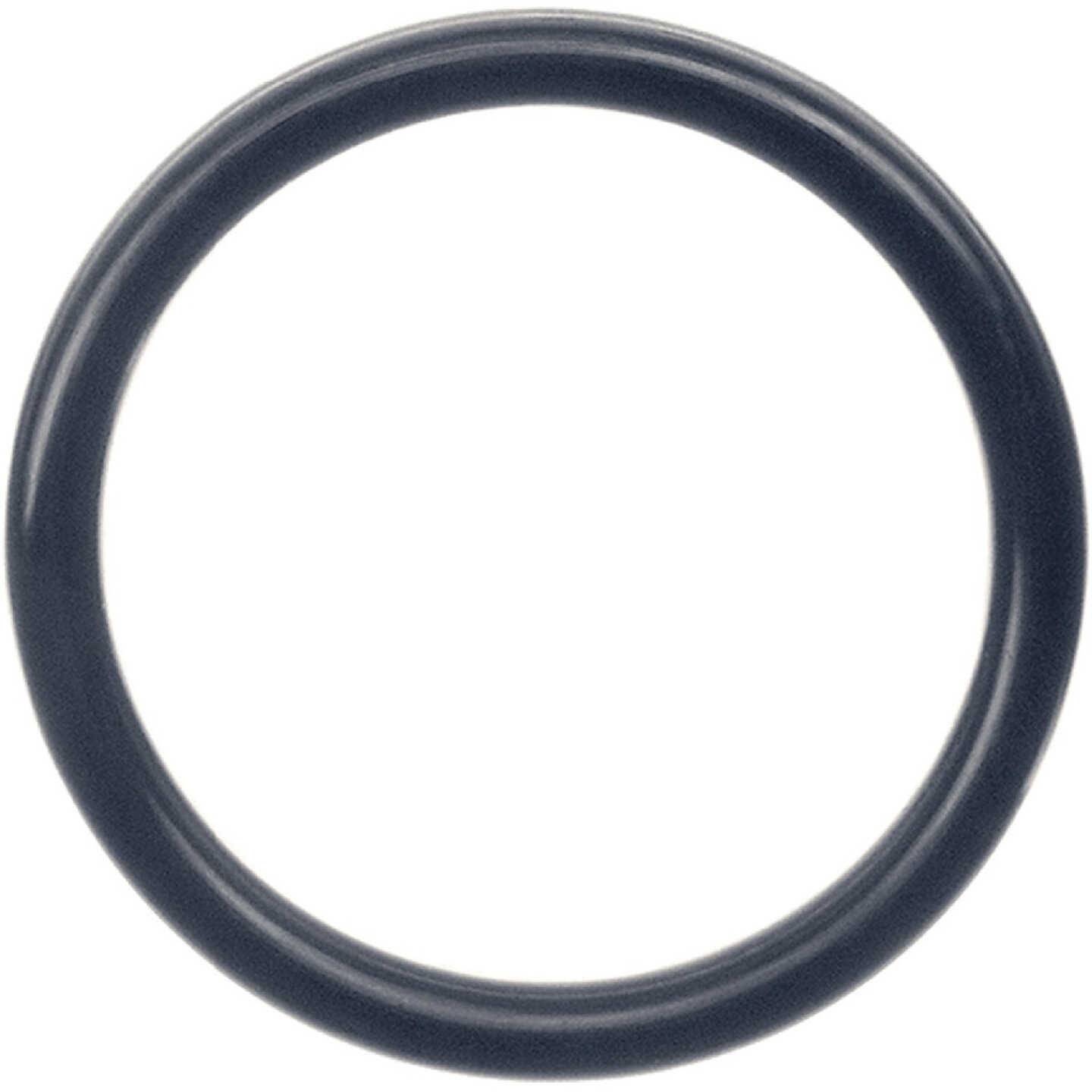 Danco #104 1-11/16 In. x 2-1/2 In. O-Ring Image 1