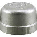 PLUMB-EEZE 3/4 In. FIP Stainless Steel Cap Image 1