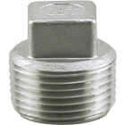 PLUMB-EEZE 3/8 In. MIP Square Head Stainless Steel Plug Image 1