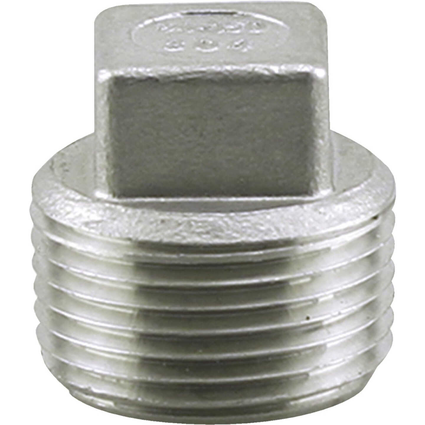 PLUMB-EEZE 3/8 In. MIP Square Head Stainless Steel Plug Image 1