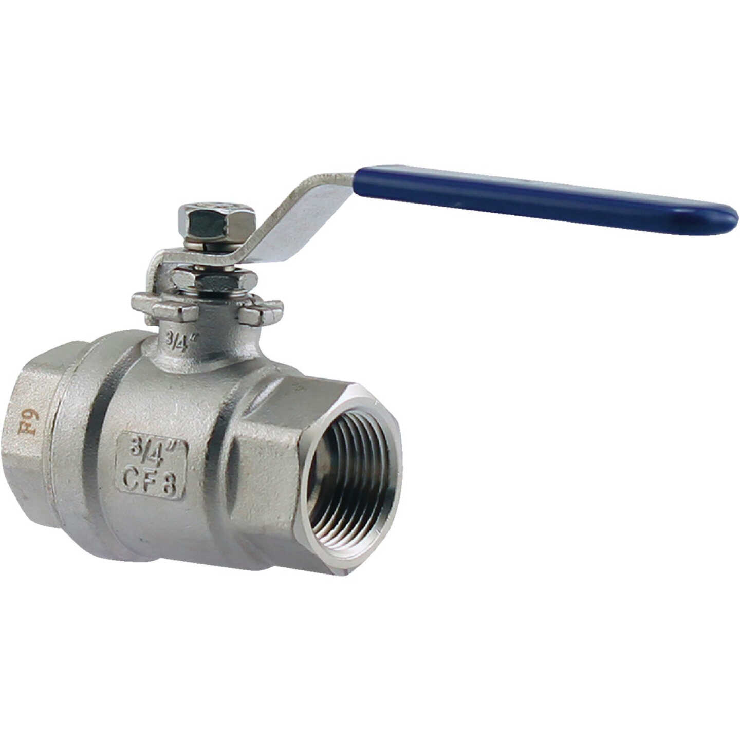 PLUMB-EEZE 1 In. FPT Stainless Steel Full Port Ball Valve Image 1