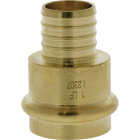 Nibco 1 In. Press x F1807 LF BR PEX Transition Fitting Image 1
