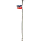 Do it Best 3/8 In. C X 1/2 In. F X 20 In. L. Braided Stainless Steel Faucet Supply Line Image 2