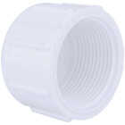 Charlotte Pipe 1-1/4 In. FIP Schedule 40 Threaded PVC Cap Image 1