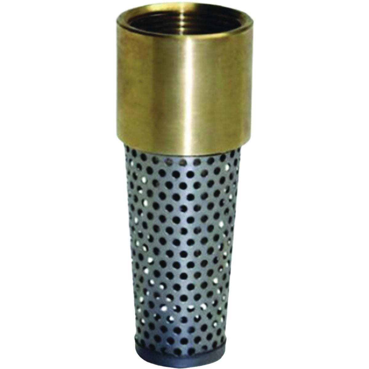 Water Source 1-1/2 In. Brass Foot Valve